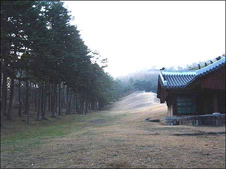 중국 풍수지리지에도 소개됐다는 명당인 영조의 어머니 숙빈 최씨의 소령원. 묘에 이르는 200여m 구불구불한 언덕이 흡사 황룡이 꿈틀대는 것처럼 보인다. 